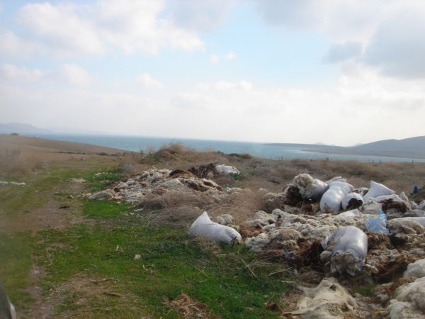 Έγκλημα – Μόλυνση – Υποβάθμιση