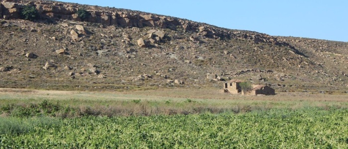 ΟΜΙΛΟΣ ΑΝΕΜΟΕΣΣΑ και ΤΠΣ σε εξέλιξη