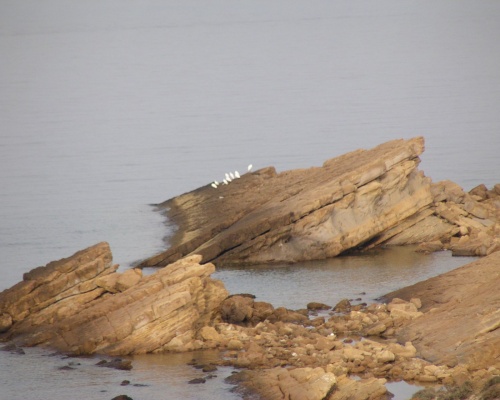 Η ΧΡΗΣΗ ΤΩΝ ΠΑΡΑΛΙΩΝ ΤΗΣ ΛΗΜΝΟΥ