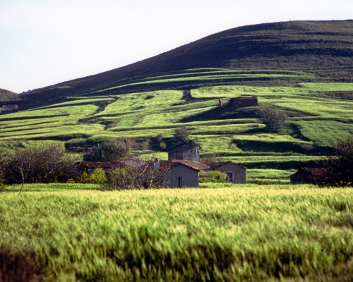 ΟΙ ΜΑΝΤΡΕΣ ΤΗΣ ΛΗΜΝΟΥ