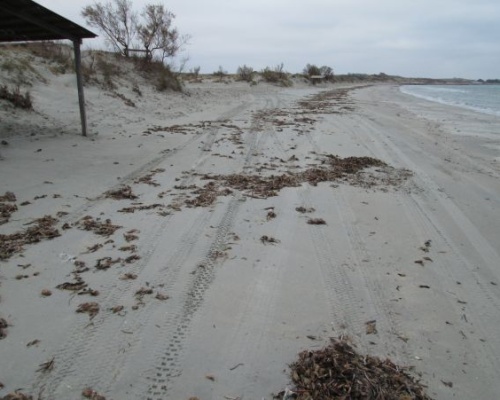 ΚΕΡΟΣ, η παραλία των διακοπών μας…